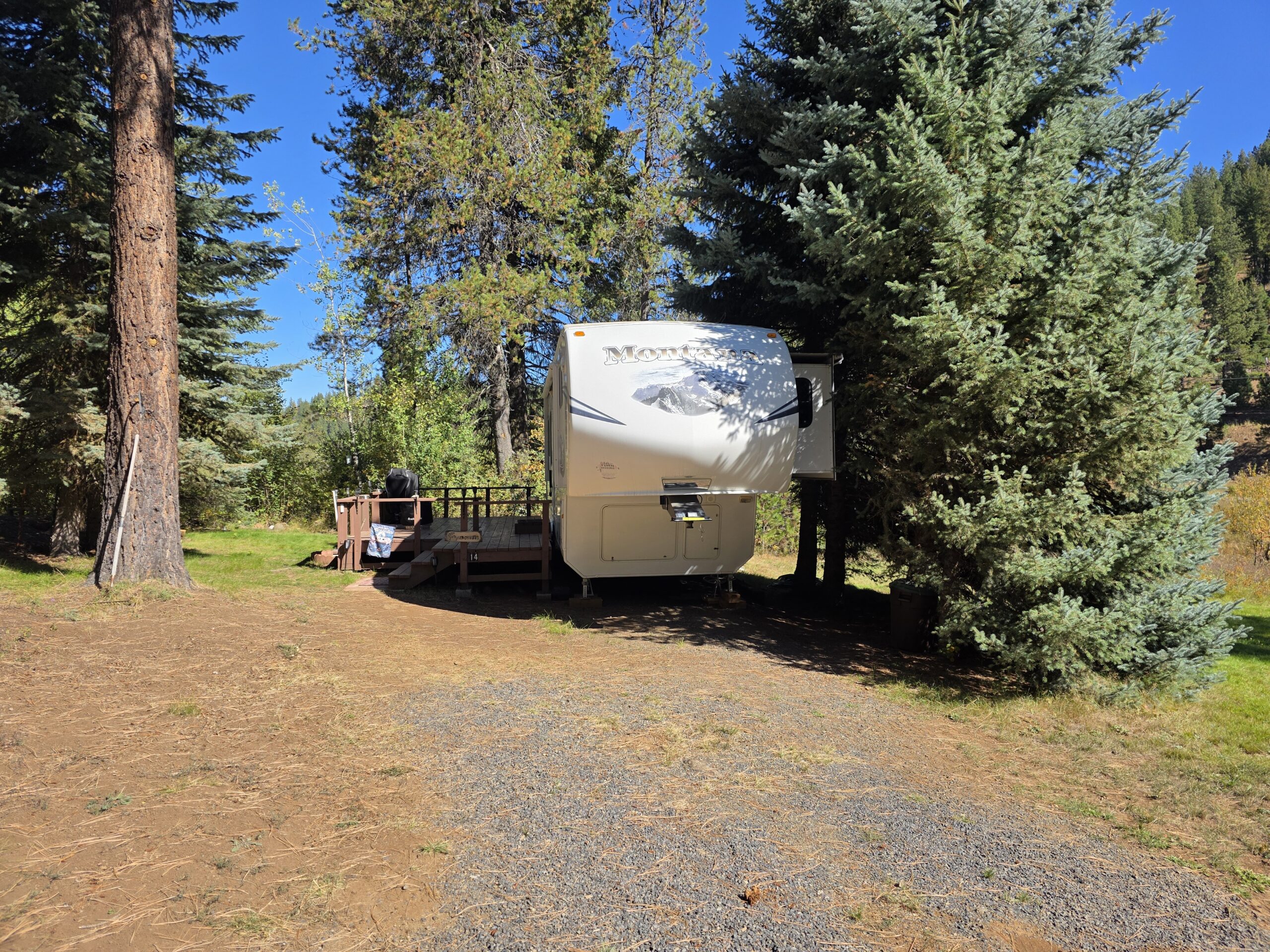 A white fifth-wheel camper is parked among tall pine trees on a sunny day, with a small wooden deck and grill beside it. The ground is a mix of gravel and dry grass, and there are green hills in the background.